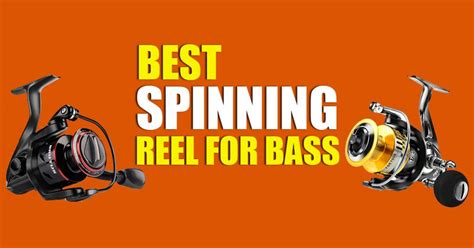 Best Fishing Reels of 2025, Tested and Reviewed .